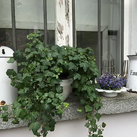Bed & Breakfast Nante Varzo